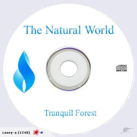 ***Natural World Collection - Tranquil Forest***