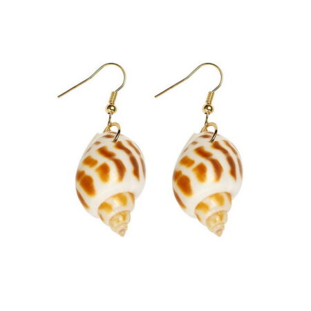 Dangling Natural Sea Shell Conch Hook Earrings - Beautiful Natural Earrings